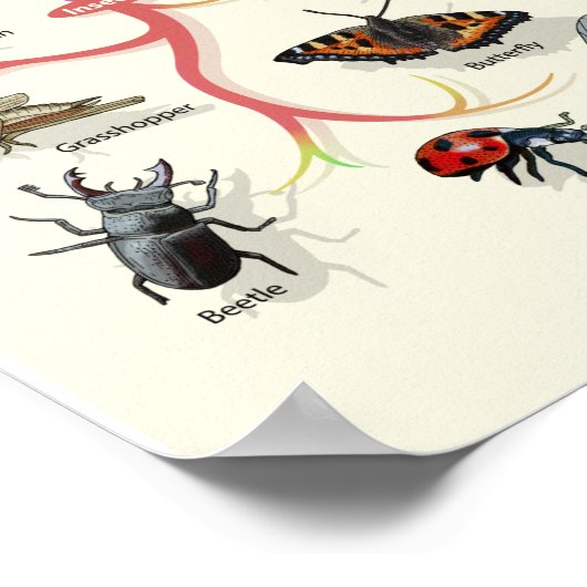 Evolution - Baum des Lebens - Poster (Ecke)