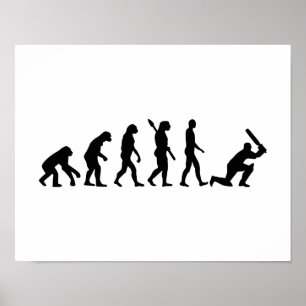 Evolution Cricket Poster