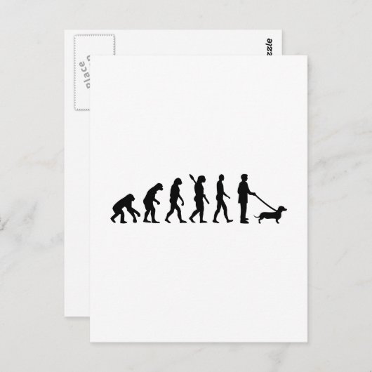 Evolution Dackel Postkarte (Vorne/Hinten)