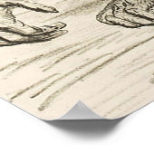 EVOLUTION DARWIN Charles Robert Darwin 1871 carica Poster (Ecke)