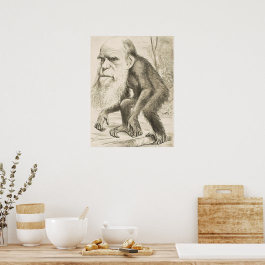 EVOLUTION DARWIN Charles Robert Darwin 1871 carica Poster (Küche)