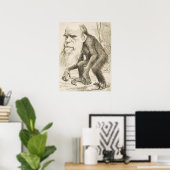 EVOLUTION DARWIN Charles Robert Darwin 1871 carica Poster (Heimbüro)
