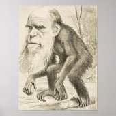 EVOLUTION DARWIN Charles Robert Darwin 1871 carica Poster (Vorne)