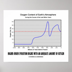 Evolution der höheren Ordnung beginnt angemessen A Poster