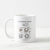 Evolution des Auges Kaffeetasse (Links)