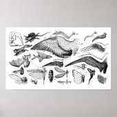 Evolution des Fluges Poster (Vorne)