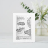 Evolution des Kaudal-Fin-Art Postkarte (Stehend Vorderseite)