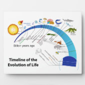 Evolution des Lebens auf der Erde Zeitdiagramm Fotoplatte (Vorderseite)