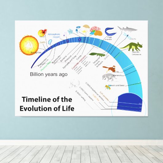 Evolution des Lebens auf der Erde Zeitdiagramm Leinwanddruck (Insitu (Holzboden))