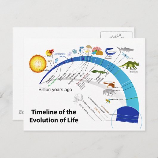 Evolution des Lebens auf der Erde Zeitdiagramm Postkarte (Vorne/Hinten)