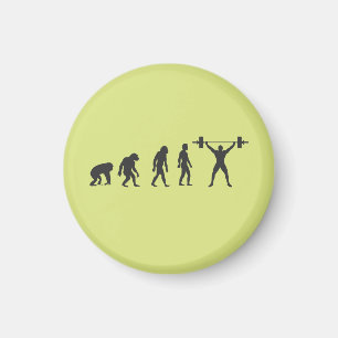 Evolution des Menschen Magnet