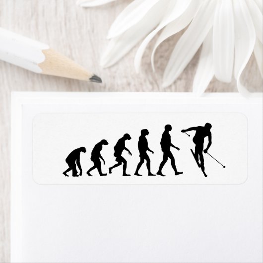 Evolution des Ski (Insitu)