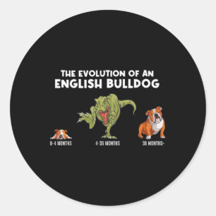 Evolution eines Bulldog-Mama-Fun Bulldog Runder Aufkleber