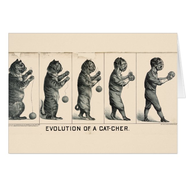 Evolution eines Fängers (Vorderseite (Horizontal))