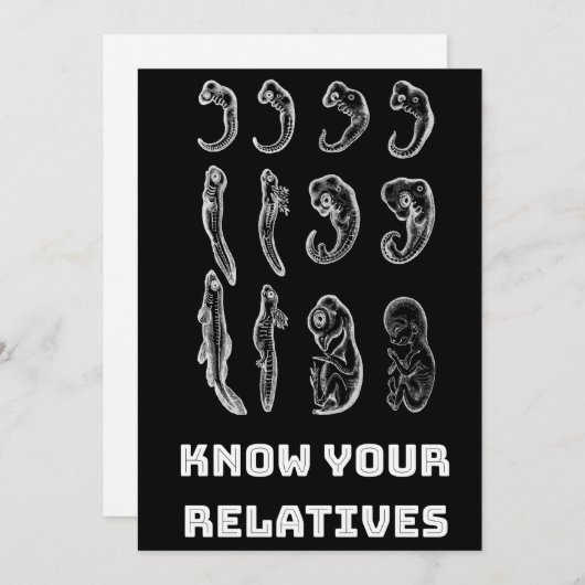 Evolution Embryogenese Feiertagskarte (Vorne/Hinten)