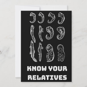 Evolution Embryogenese Feiertagskarte