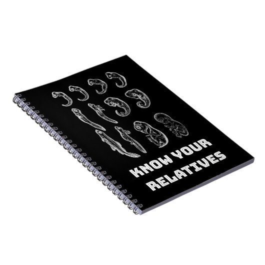 Evolution Embryogenese Notizblock (Rechte Seite)