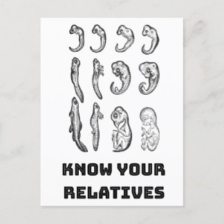 Evolution Embryogenese Postkarte