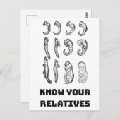 Evolution Embryogenese Postkarte (Vorne/Hinten)