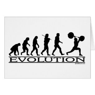 Evolution - Gewichts-Heber