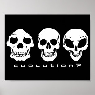 Evolution? Human to alien skull poster