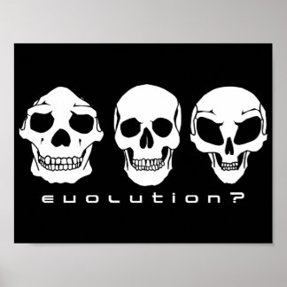 Evolution? Human to alien skull poster