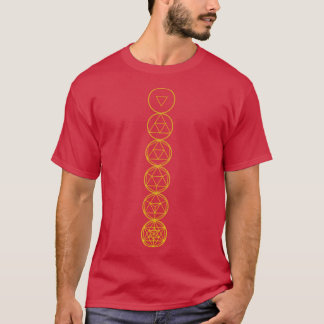 Evolution Icosahedron Orange T-Shirt
