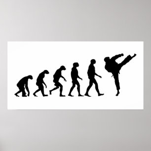Evolution Karate Poster