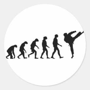 Evolution Karate Runder Aufkleber