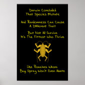 Evolution Limerick Poster (Vorne)