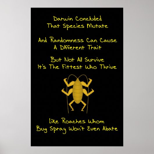 Evolution Limerick Poster (Vorne)