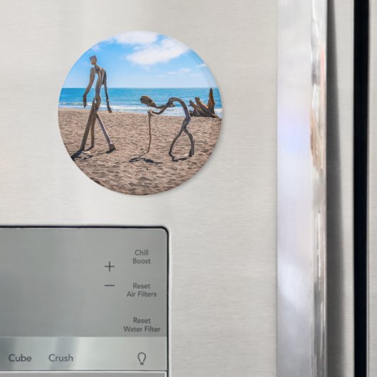 Evolution Magnet (In Situ (Kühlschrank))