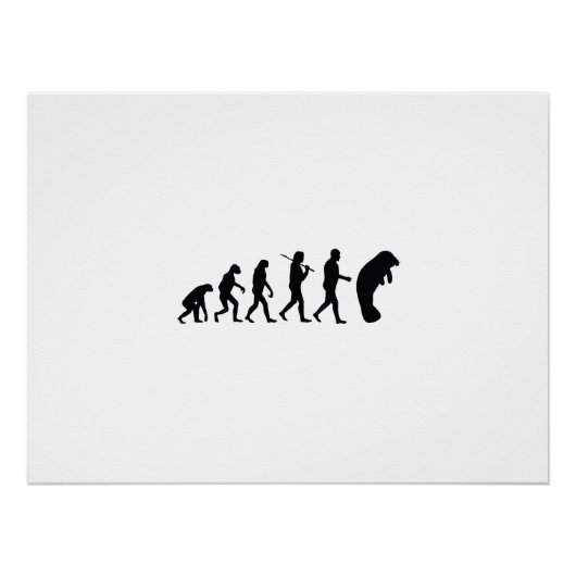 Evolution Manatee Poster (Vorderseite)