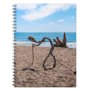 Evolution Notizblock