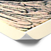 Evolution Nr. 5, Gruppe VI, Poster (Ecke)