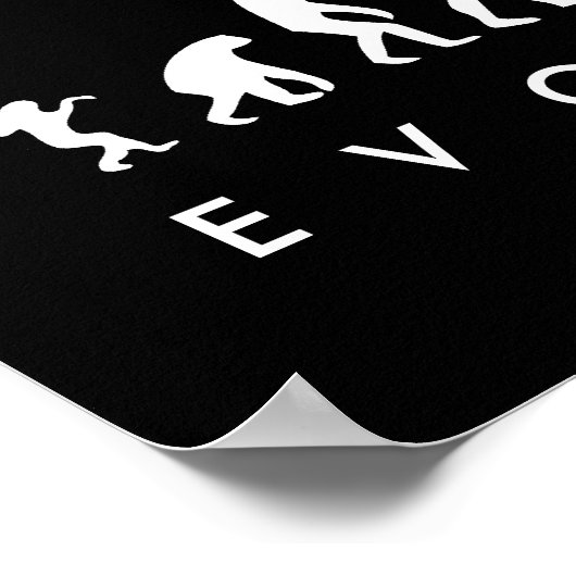 Evolution of Man & Cockroach Funny Evolution Chart Poster (Ecke)