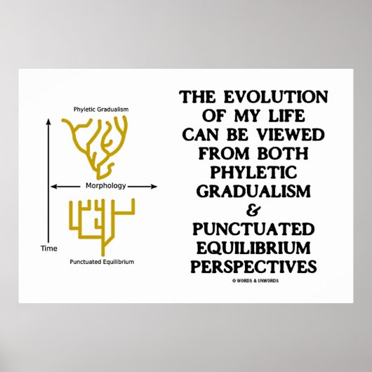 Evolution Phyletic Gradualism Punctutuated Equilib Poster (Vorne)