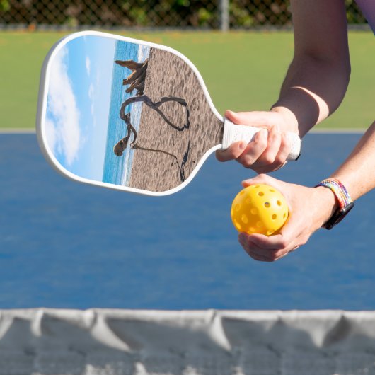 Evolution Pickleball Schläger (InSitu)