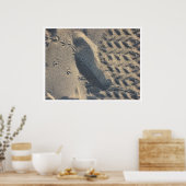 Evolution Poster (Küche)