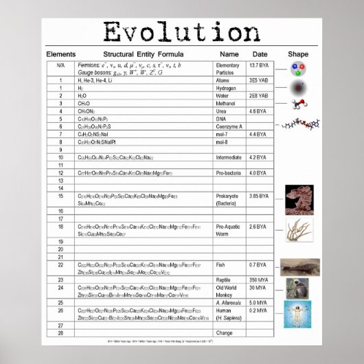 Evolution Poster (Vorne)