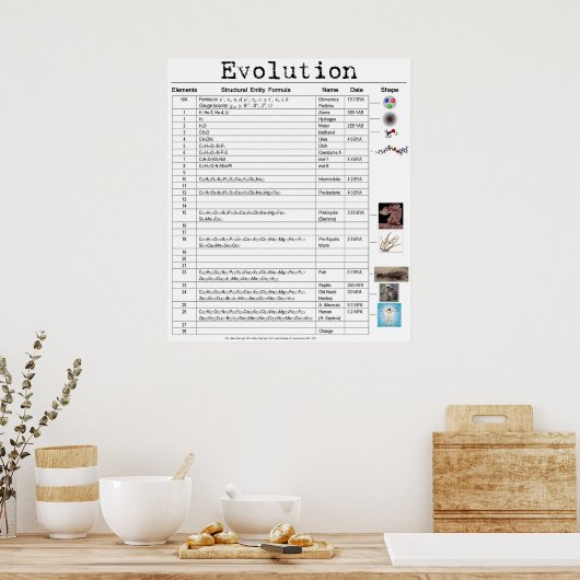 Evolution Poster (Küche)