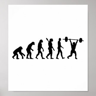 Evolution Poster