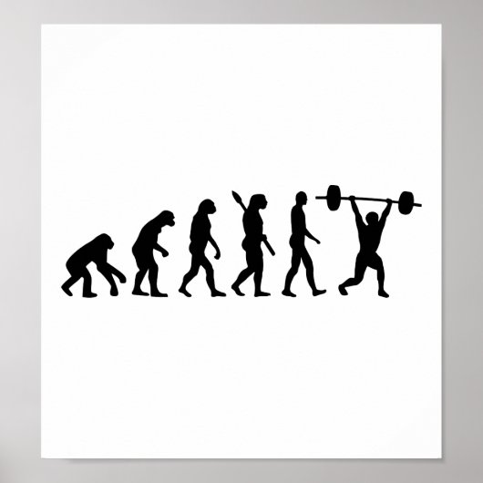 Evolution Poster (Vorne)