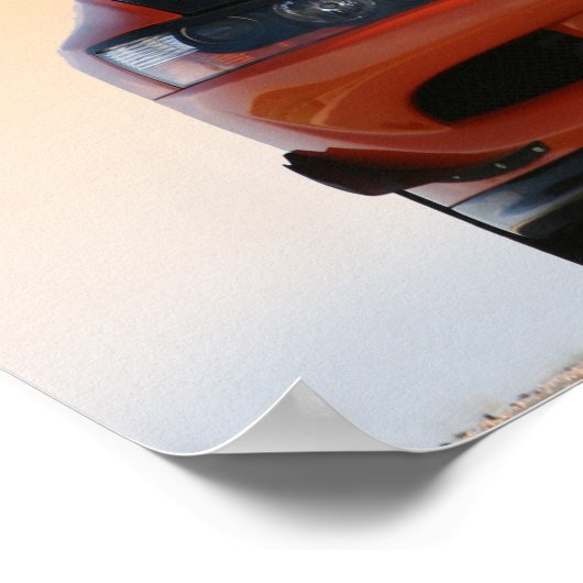 Evolution Poster (Ecke)