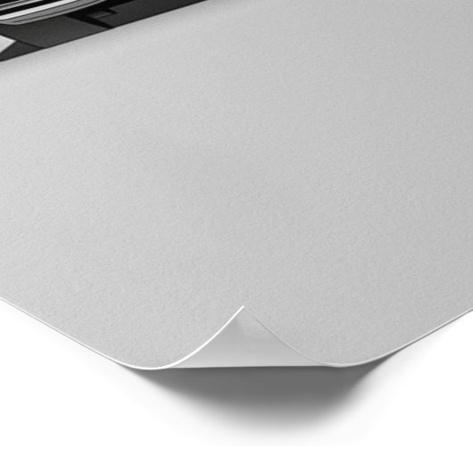 Evolution Poster (Ecke)