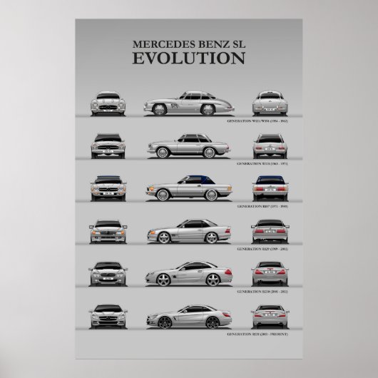 Evolution Poster (Vorne)