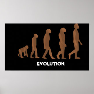 Evolution Poster