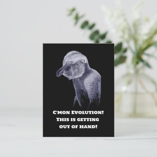 Evolution Postkarte (Stehend Vorderseite)