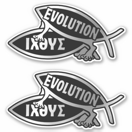 Evolution - Prokretion x 2 Aufkleber (Vorderseite)