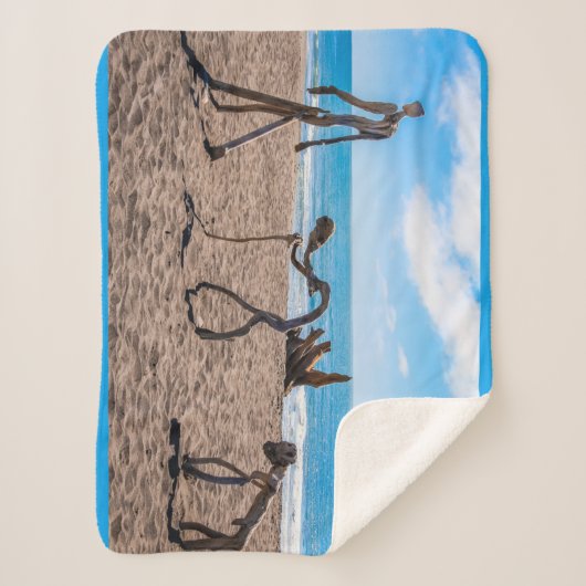 Evolution Sherpadecke (Vorderseite)